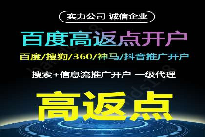 某电商平台的SEM运营实战与效果分析